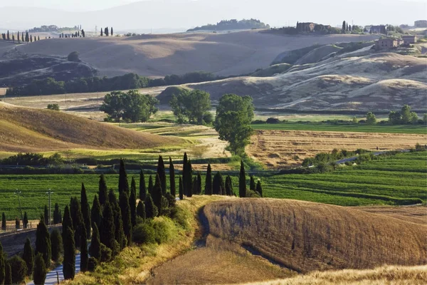 Typisch Toscaanse landschap — Stockfoto