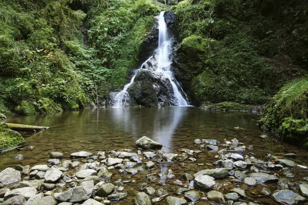 Водоспад Ущелину Lotenbachklamm Чорний Ліс Wutachschlucht Природний Заповідник Європі Баден — стокове фото