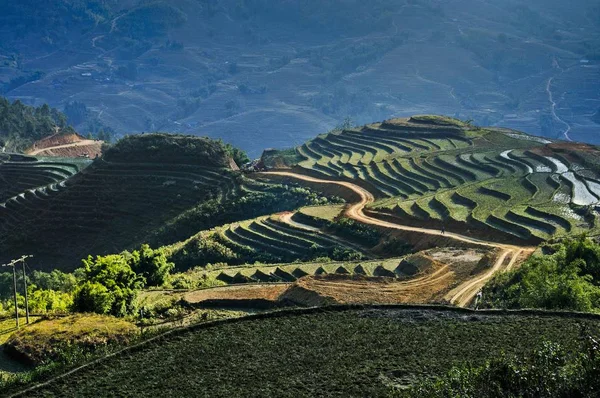 Campos Arroz Estrada Que Leva Através Terraços Arroz Sapa Vietnã — Fotografia de Stock