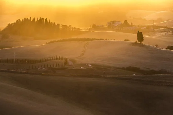 Heuvellandschap bij zonsondergang — Stockfoto