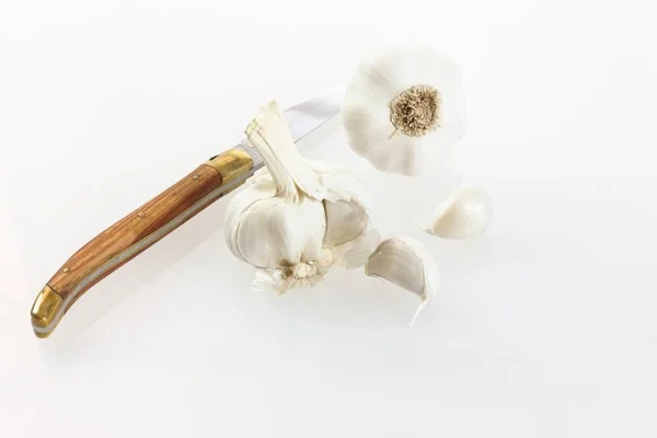 Ajo Allium Sativum Con Cuchillo Aislado Blanco — Foto de Stock
