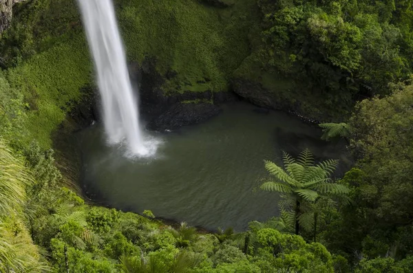 Bridal Veil Falls Surrounded Dense Rainforest Raglan Waikato North Island — Stock Photo, Image