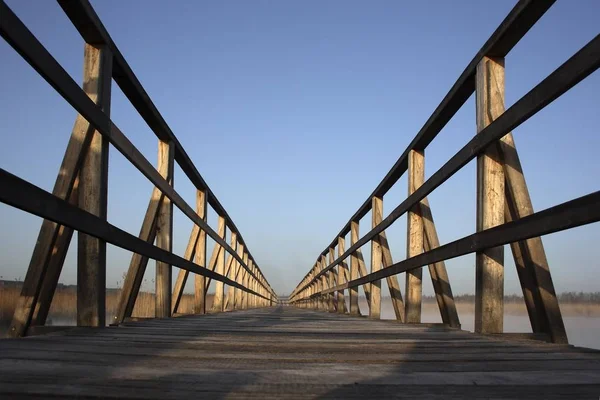 Federseesteg Pontile Colpo Basso Angolo Lago Federsee Riserva Naturale Biberach — Foto Stock