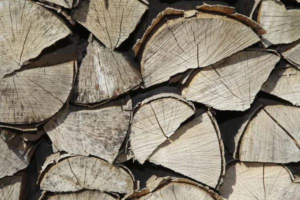 Woodpiles Stackar Lämplig Som Bakgrund — Stockfoto