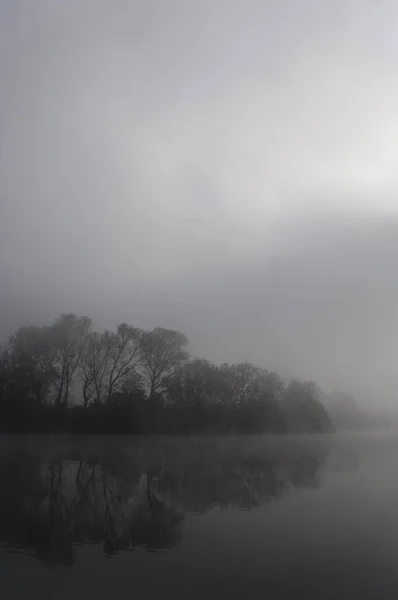 Lac Couvert Brouillard Près Wernau Bade Wurtemberg Allemagne Europe — Photo