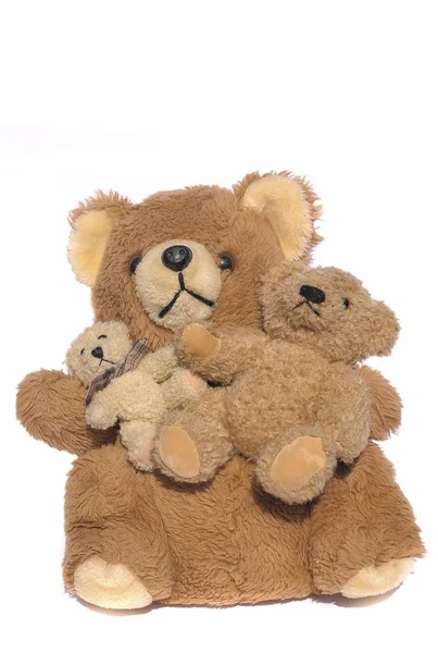 Teddybär Familie Isoliert Auf Weiß Studio — Stockfoto