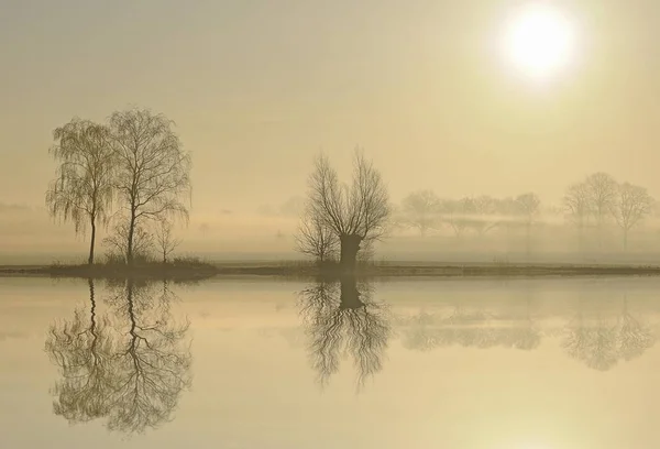 Humor Matutino Num Lago Nascer Sol Perto Tangstedt Schleswig Holstein — Fotografia de Stock