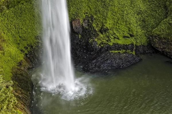 Cascadas Velo Nupcial Rodeadas Densas Selvas Tropicales Raglan Waikato Isla —  Fotos de Stock