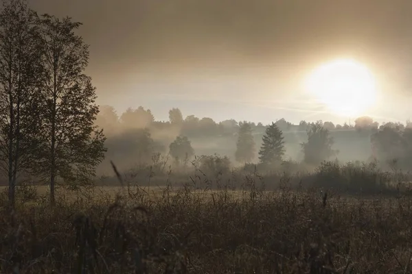 Mist Lake Staffelsee Ochtend Landschap — Stockfoto