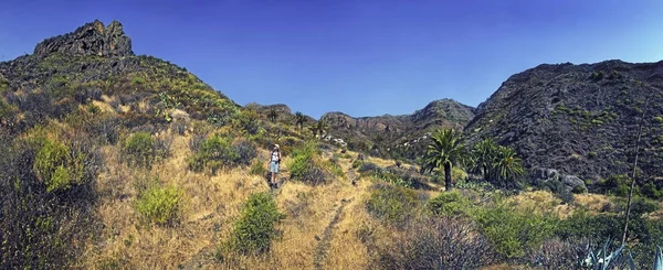 Imada Termékeny Völgye Pálmafákkal Túrázókkal Gomera Kanári Szigetek Spanyolország Európa — Stock Fotó