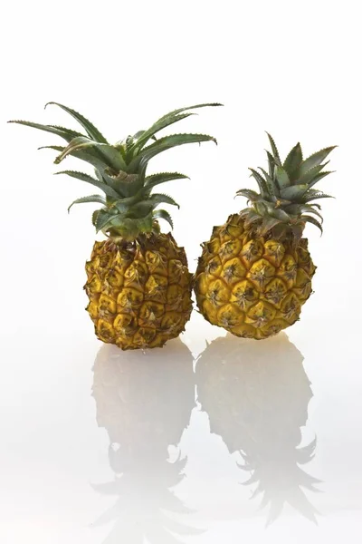 Två Ananas Ananas Comosus — Stockfoto