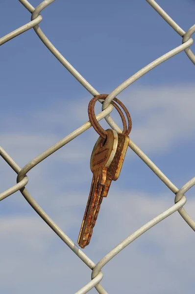 生锈的钥匙 钥匙圈 铁丝网栅栏 — 图库照片