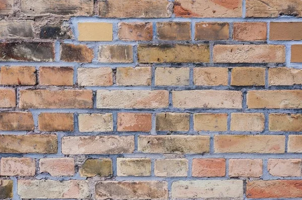세 벽돌 벽 — 스톡 사진