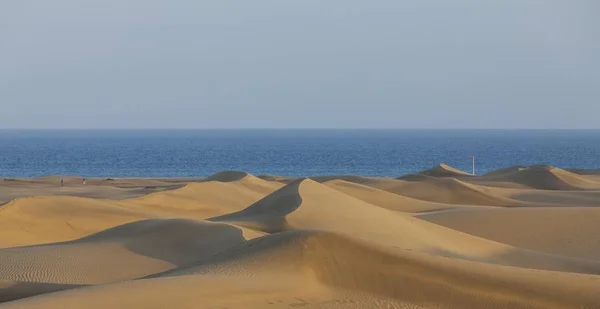Dune Sabbia Maspalomas Gran Canaria Isole Canarie Spagna Europa — Foto Stock