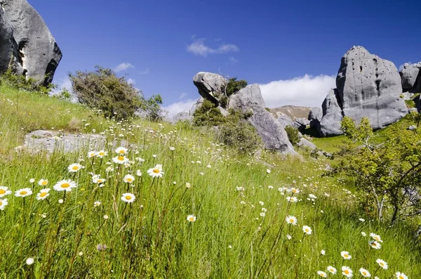 Kalkstenen Rotsformaties Castle Hill Zuid Eiland Nieuw Zeeland Oceanië — Stockfoto