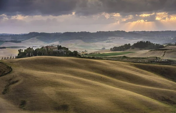 Glooiende Heuvels Korenvelden Schemering Villamagna Toscane Italië Europa — Stockfoto