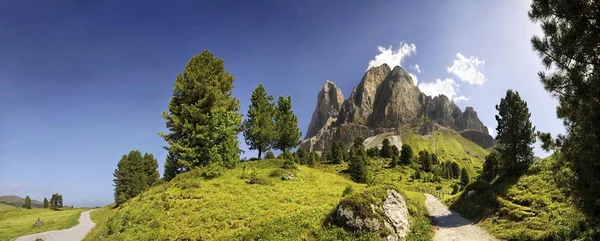 Panorama Peitlerkofel Sasso Delle Putia Mit Bergwald Und Weg Wuerzjoch — Stockfoto