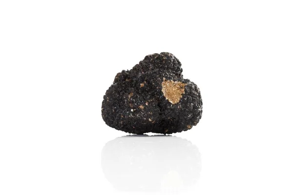 Black Truffle White Background — Stock Photo, Image