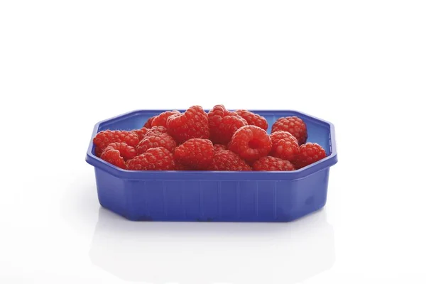 Himbeeren Einer Plastikbox Vor Weißem Hintergrund — Stockfoto