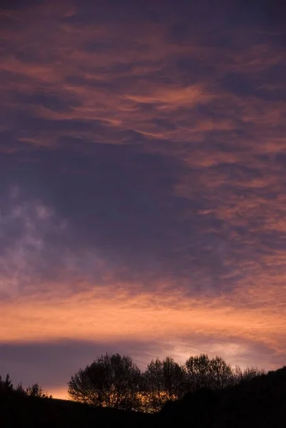 Puesta de sol sobre Wellington — Foto de Stock