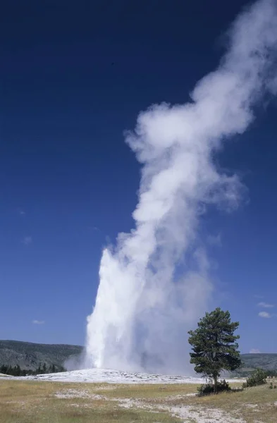 Gejzer Old Faithful Park Narodowy Yellowstone Stany Zjednoczone Ameryki — Zdjęcie stockowe