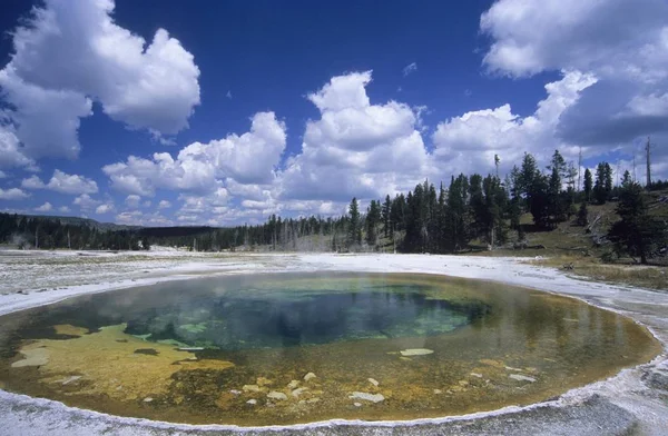 Piękno Basen Park Narodowy Yellowstone Wyoming Usa Ameryka Północna — Zdjęcie stockowe