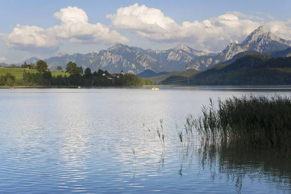 Weissensee Lake Nära Fuessen Övre Allgaeu Övre Bayern Bayern Tyskland — Stockfoto