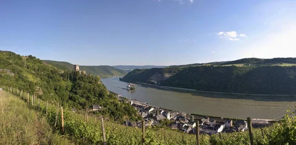 Burg Gutenfels Castelo Com Vinhas Rio Burg Pfalzgrafenstein Castelo Kaub — Fotografia de Stock