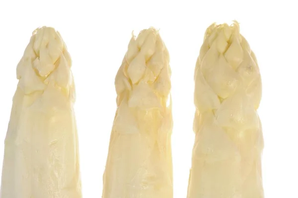 Fresh White Asparagus Strings Isolated White — Stock Photo, Image
