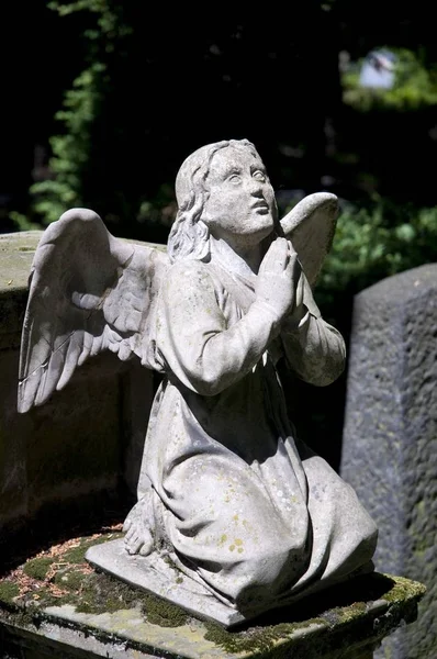 Anděl Socha Alter Friedhof Hřbitov Bonn Porýní Severní Porýní Vestfálsko — Stock fotografie