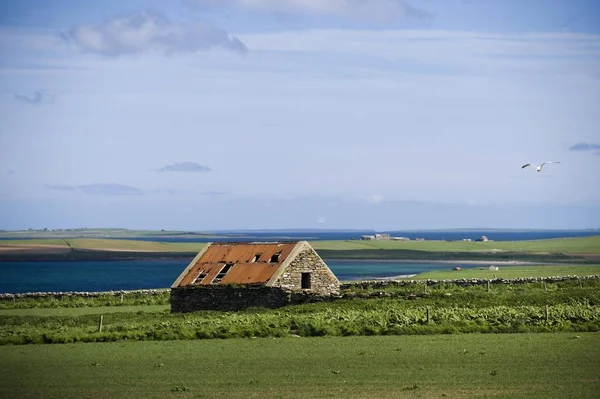 Stone cottage, barn, Orkney Islands, Scotland, United Kingdom, Europe