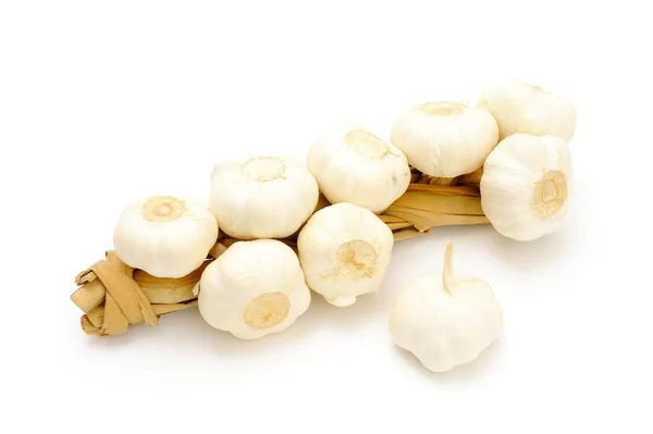 Knoblauch Auf Weißem Hintergrund Zusammengebunden — Stockfoto