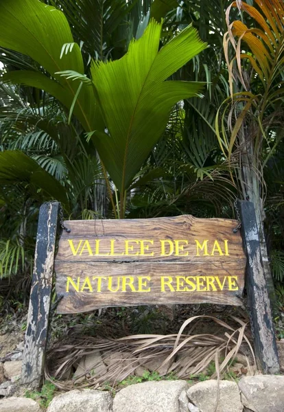 Vallee Mai Reserva Natural Única Isla Praslin Con Coco Mer — Foto de Stock