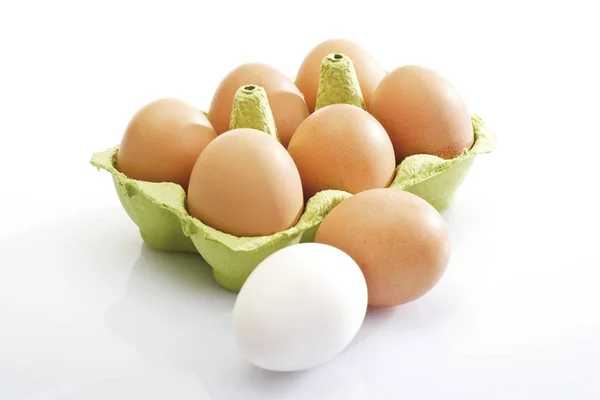Huevos Marrones Cartón Uno Blanco — Foto de Stock