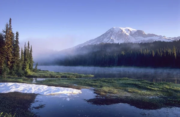 Mount Rainier Washington Abd Kuzey Amerika — Stok fotoğraf