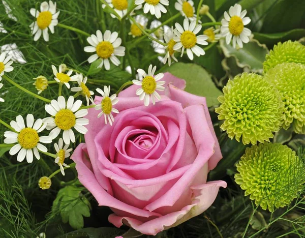 Strauß Mit Gerbera Gerbera Rosen Rosa Und Ochsenblumen Leucanthemum Vulgare — Stockfoto