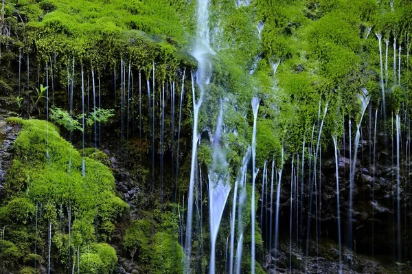 Petite Cascade Sur Des Rochers Moussus Gunzesried Immenstadt Upper Allgaeu — Photo