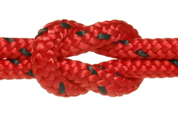 Two Climbing Ropes Entwined Symbolic Image Cohesion Strong Hold — Stock Photo, Image