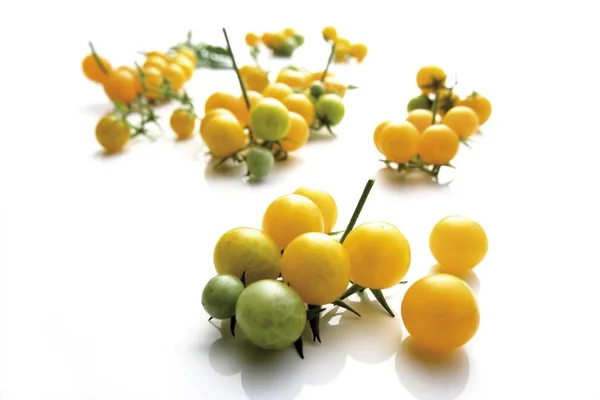 Gele cherry tomaten — Stockfoto