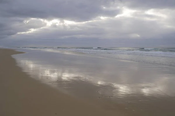 Утро Восточном Побережье Фрейзера Исландия Австралия Океания — стоковое фото