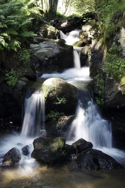 Cascadas Todtnauer Wasserfall Todtnau Selva Negra Baden Wuerttemberg Alemania Europa — Foto de Stock