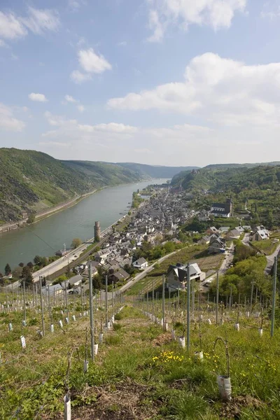 Vista Sobre Cidade Vinícola Oberwesel Rhein Com Adega Winfried Persch — Fotografia de Stock