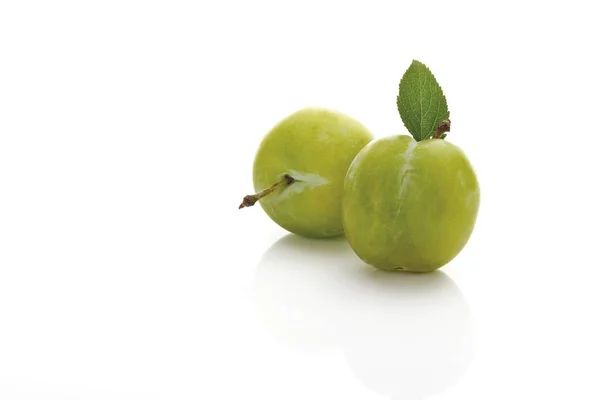 Greengages Prunus Frutos Itálicos — Foto de Stock