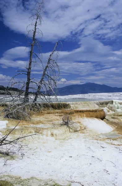 Spiekanego Taras Mammoth Hot Springs Park Narodowy Yellowstone Stany Zjednoczone — Zdjęcie stockowe