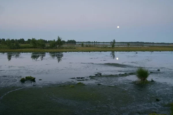 Volle Maan Het Nederlands Gesteld Bog Reserve Bargerveen Nederland Europa — Stockfoto