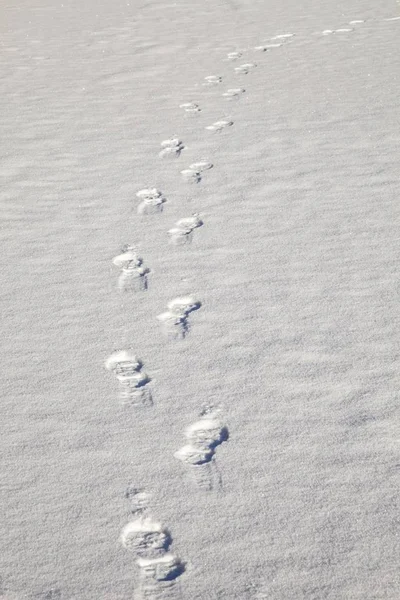 Nieve de invierno suelo —  Fotos de Stock