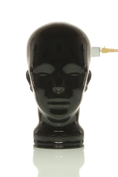 Cabeza Vidrio Negro Con Cable Lan — Foto de Stock