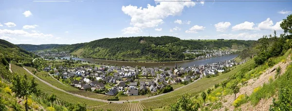 Vue Sur Moselle Alken Rhein Hunsrueck Kreis Rhénanie Palatinat Allemagne — Photo