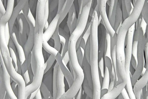 Structural Image White Branches — Stock Photo, Image