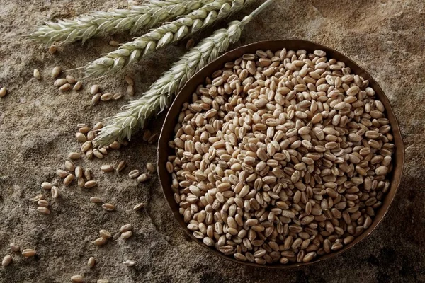 Пшеничные Зерна Тритикун Медной Чаше Каменной Поверхности — стоковое фото